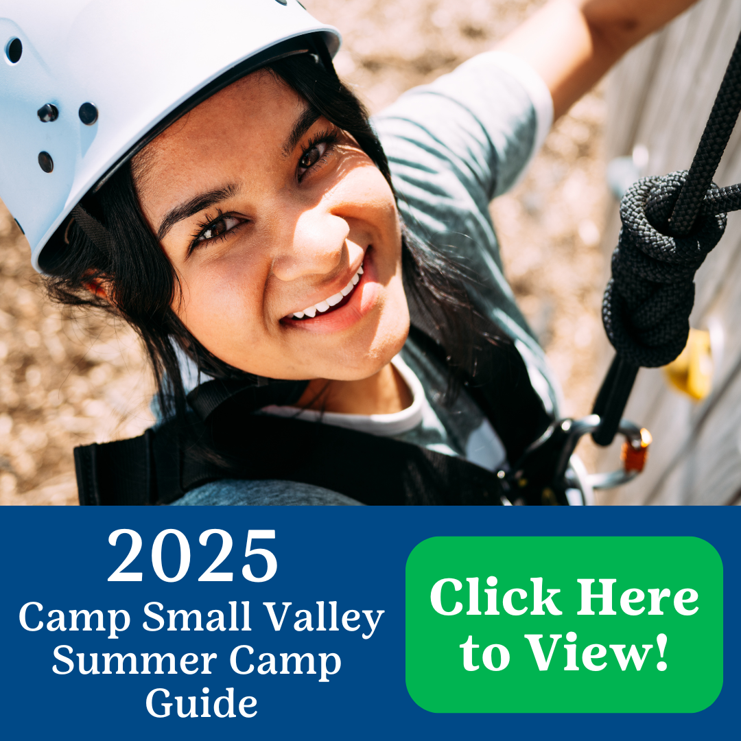 2025 CSV summer camp guide